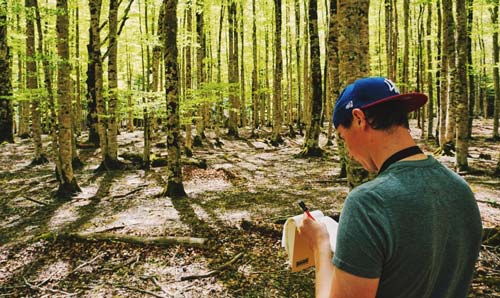 PhD student undertaking research in a forest environment