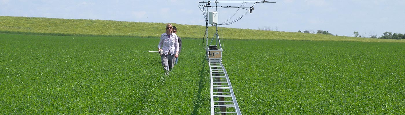 Female researcher in field with equipment