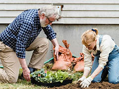 A couple gardening