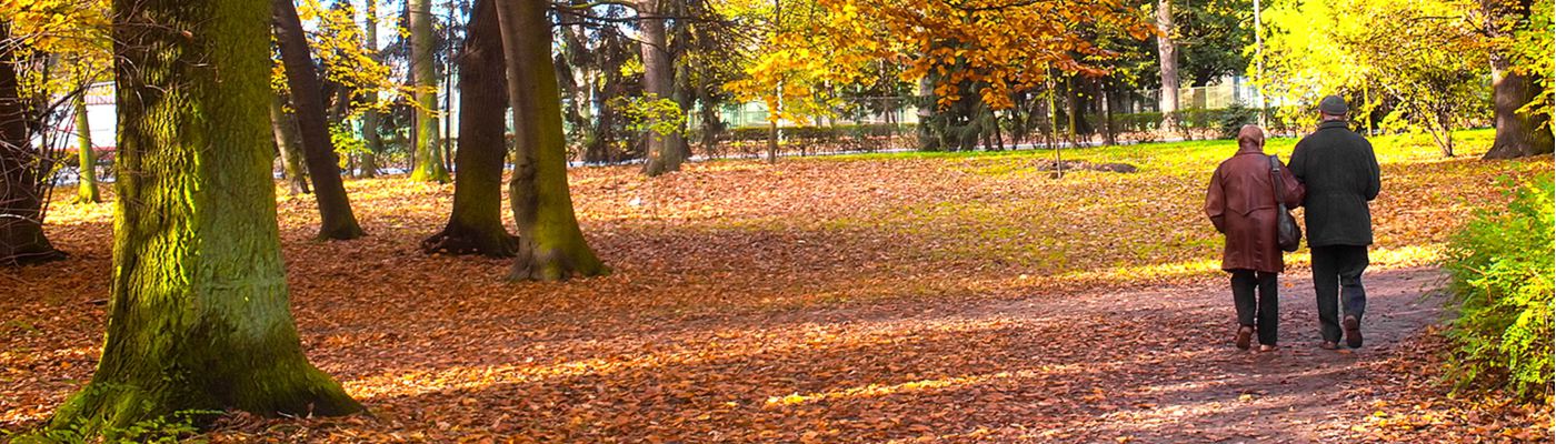 Older couple walking through autumnal woodland.