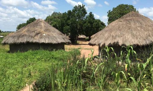 Huts in Uganda.