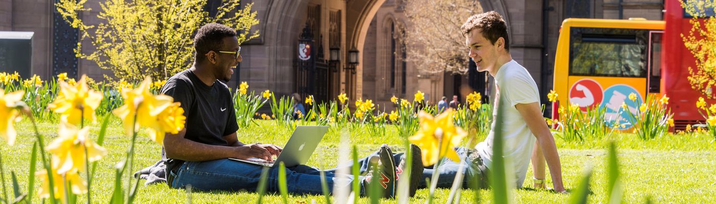 Students on grass talking